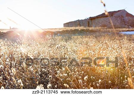 Sunny afternoon in a field with crumbling houses. Pozondon, Teruel, Spain View Large Photo Image Stock Photography - Sunny afternoon in a field with crumbling houses. Pozondon, Teruel, Spain. Fotosearch