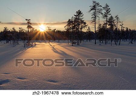 Sunny winter landscape in G? llivare, Swedish lapland. View Large Photo Image Stock Photo - Sunny winter landscape in G? llivare, Swedish lapland.. Fotosearch
