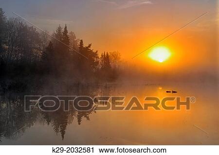 Sunrise at a foggy beaverpond, Greater Sudbury, Ontario, Canada. View Large Photo Image Stock Image - Sunrise at a foggy beaverpond, Greater Sudbury, Ontario, Canada.. Fotosearch