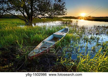 Stock Photograph - Sunrise at Biebrza River, National Park, Poland, Europe. Fotosearch