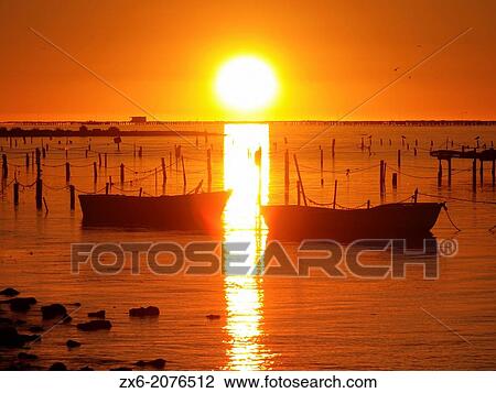 Sunrise at shellfish site in Alfacs Bay. Ebro River Delta Natural Park, Tarragona province, Catalonia, Spain. View Large Photo Image Stock Image - Sunrise at shellfish site in Alfacs Bay. Ebro River Delta Natural Park, Tarragona province, Catalonia, Spain.. Fotosearch