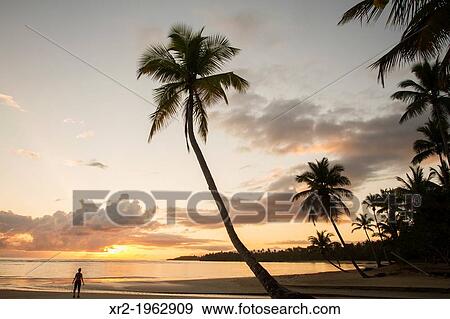 Sunrise in El Portillo beach, Dominican Republic. View Large Photo Image Stock Photo - Sunrise in El Portillo beach, Dominican Republic.. Fotosearch