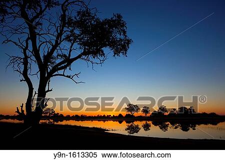 Sunrise in the Okavango Delta in Moremi national Park, Botswana View Large Photo Image Stock Photography - Sunrise in the Okavango Delta in Moremi national Park, Botswana. Fotosearch