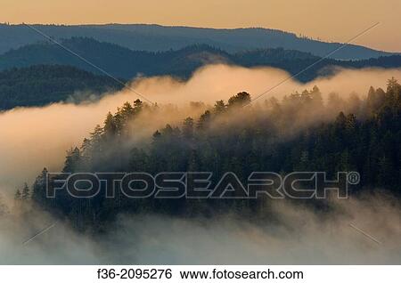Sunrise light on coastal fog over hills near the mouth of the Klamath River, Redwood National Park, California. View Large Photo Image Stock Photograph - Sunrise light on coastal fog over hills near the mouth of the Klamath River, Redwood National Park, California.. Fotosearch