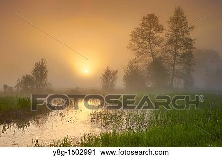 Stock Image - Sunrise, Narew National Park, Poland, Europe. Fotosearch