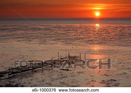 Sunrise on the Wadden Sea at low tide, Texel Island, Holland View Large Photo Image Stock Photograph - Sunrise on the Wadden Sea at low tide, Texel Island, Holland. Fotosearch