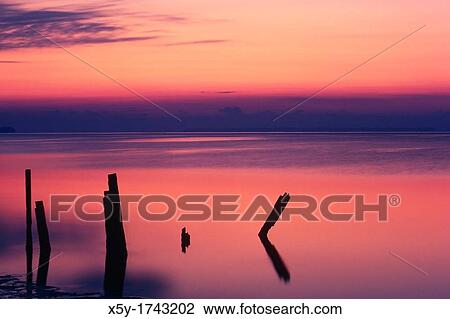 Sunrise over Florida Bay, Everglades National Park, Florida View Large Photo Image Stock Image - Sunrise over Florida Bay, Everglades National Park, Florida. Fotosearch