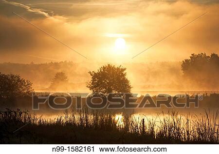 Sunrise over landscape with fish ponds in autumn, near Erlangen, Franconia, Bavaria View Large Photo Image Stock Image - Sunrise over landscape with fish ponds in autumn, near Erlangen, Franconia, Bavaria. Fotosearch