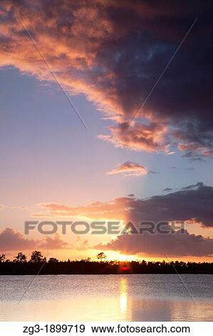 Sunset and sunbeams through a thunderstorm over swamp lake scene at the Everglades National Park, Florida, USA View Large Photo Image Stock Photo - Sunset and sunbeams through a thunderstorm over swamp lake scene at the Everglades National Park, Florida, USA. Fotosearch