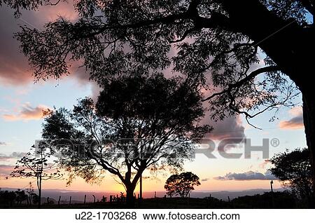 Sunset at Buena Vista Lodge, near Liberia, Guanacaste Costa Rica View Large Photo Image Stock Photo - Sunset at Buena Vista Lodge, near Liberia, Guanacaste Costa Rica. Fotosearch