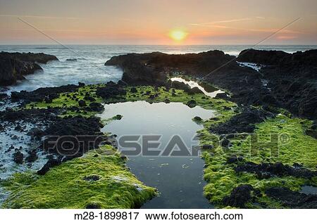 Stock Photo - Sunset at Cape Perpetua on the Oregon Coast. Fotosearch