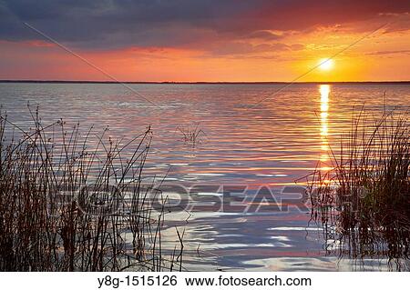 Sunset at Gardno lake, Pomerania, Poland, Europe View Large Photo Image Stock Photograph - Sunset at Gardno lake, Pomerania, Poland, Europe. Fotosearch
