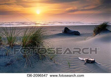 Sunset at Gold Bluffs Beach, Prairie Creek Redwoods State Park, Humboldt County, CALIFORNIA. View Large Photo Image Stock Photo - Sunset at Gold Bluffs Beach, Prairie Creek Redwoods State Park, Humboldt County, CALIFORNIA.. Fotosearch