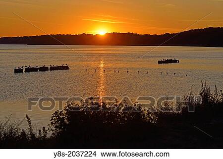 Sunset at Kamminke, Usedom Island, Germany. View Large Photo Image Picture - Sunset at Kamminke, Usedom Island, Germany.. Fotosearch