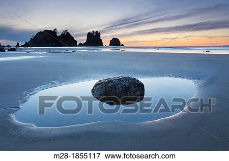 Sunset at Point of the Arches and Shi Shi Beach at low tide, Olympic National Park Washington View Large Photo Image Stock Photo - Sunset at Point of the Arches and Shi Shi Beach at low tide, Olympic National Park Washington. Fotosearch