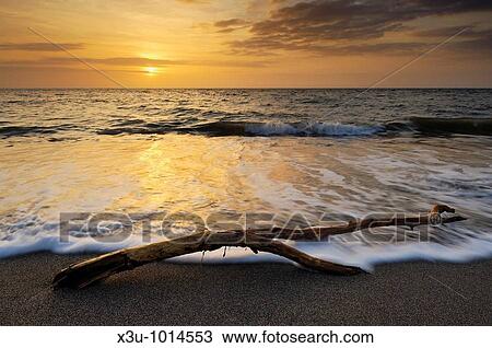 Sunset at the beach at Westward Ho! on the North Devon coast, England, United Kingdom View Large Photo Image Stock Image - Sunset at the beach at Westward Ho! on the North Devon coast, England, United Kingdom. Fotosearch