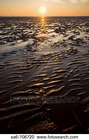 Sunset at the English coast, the weat sand in the foreground is touched with gold and the sun hovers just above the horizon. View Large Photo Image Stock Image - Sunset at the English coast, the weat sand in the foreground is touched with gold and the sun hovers just above the horizon.. Fotosearch