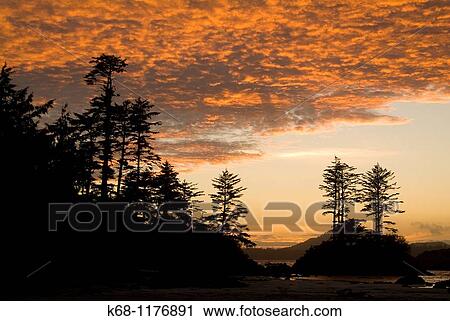 sunset, Canadian West Coast, Flores Island, British Columbia, Canada View Large Photo Image Stock Image - sunset, Canadian West Coast, Flores Island, British Columbia, Canada. Fotosearch