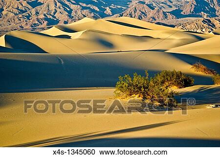 Stock Image - Sunset casts shadows across undulating sand dunes in Death Valley, California. Fotosearch