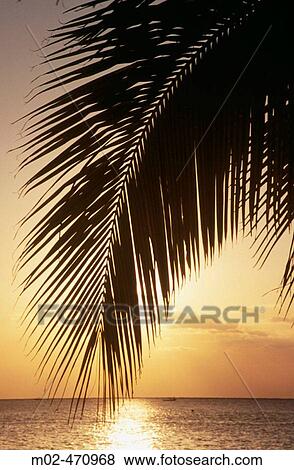 Sunset. Cozumel. Quintana Roo. Mexico. View Large Photo Image Stock Photo - Sunset. Cozumel. Quintana Roo. Mexico.. Fotosearch