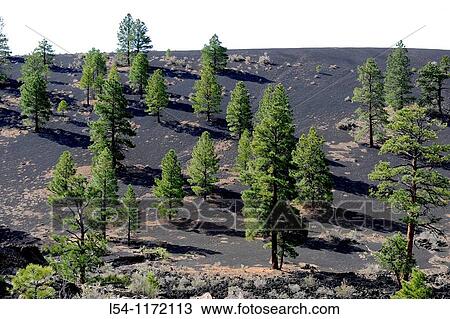 Stock Image - Sunset Crater Volcano National Monument Flagstaff Arizona. Fotosearch