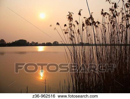 Sunset dry grass, Poland View Large Photo Image Stock Photograph - Sunset dry grass, Poland. Fotosearch