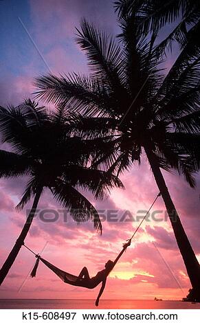 Sunset in hammock on tropical island beach View Large Photo Image Stock Photo - Sunset in hammock on tropical island beach. Fotosearch