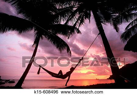 Stock Photograph - Sunset in hammock on tropical island beach. Fotosearch