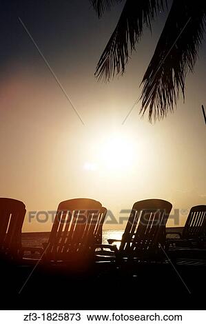 Stock Image - Sunset in playa Ancon beach with some sun lounger and palm tree leaves in the front of the sea. Fotosearch