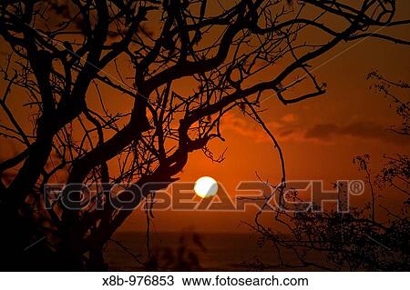 Sunset in the Galapagos Island Archipelago, Ecuador Pacific Ocean View Large Photo Image Stock Image - Sunset in the Galapagos Island Archipelago, Ecuador Pacific Ocean. Fotosearch