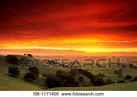 Sunset in the hills near Los Olivos, Santa Barbara County, California View Large Photo Image Stock Image - Sunset in the hills near Los Olivos, Santa Barbara County, California. Fotosearch