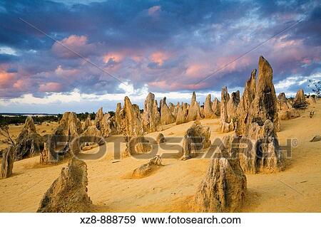 Sunset in the Pinnacles Desert of Nambung National Park Cervantes, Western Australia, Australia View Large Photo Image Stock Photo - Sunset in the Pinnacles Desert of Nambung National Park Cervantes, Western Australia, Australia. Fotosearch