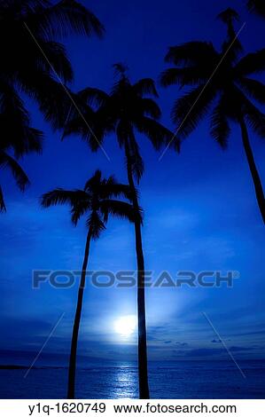 Sunset, Kapalua Beach, Maui, Hawaii View Large Photo Image Stock Photo - Sunset, Kapalua Beach, Maui, Hawaii. Fotosearch