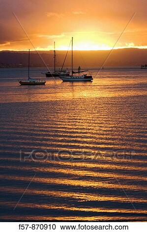 Sunset, Mt Maunganui, North Island, New Zealand View Large Photo Image Stock Image - Sunset, Mt Maunganui, North Island, New Zealand. Fotosearch