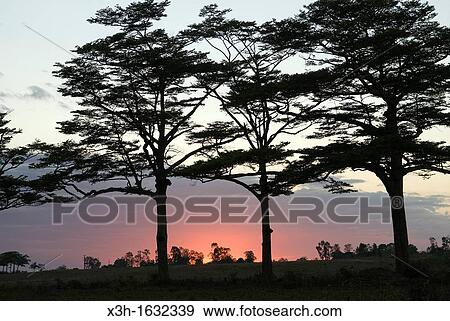 sunset, Nosy Be island, Republic of Madagascar, Indian Ocean View Large Photo Image Stock Photo - sunset, Nosy Be island, Republic of Madagascar, Indian Ocean. Fotosearch