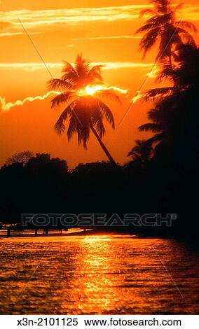 Sunset on beach in Placencia, Belize. View Large Photo Image Stock Photography - Sunset on beach in Placencia, Belize.. Fotosearch