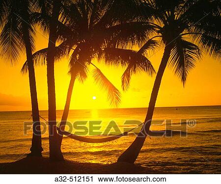 Sunset on Gibbs west coast beach. Mullins Bay. Barbados. West Indies View Large Photo Image Stock Image - Sunset on Gibbs west coast beach. Mullins Bay. Barbados. West Indies. Fotosearch