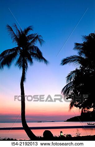 Sunset on the beach in Ko Tao View Large Photo Image Stock Image - Sunset on the beach in Ko Tao. Fotosearch