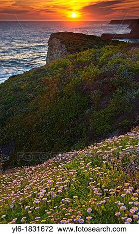 Stock Image - Sunset on the Santa Cruz coast of California. Fotosearch