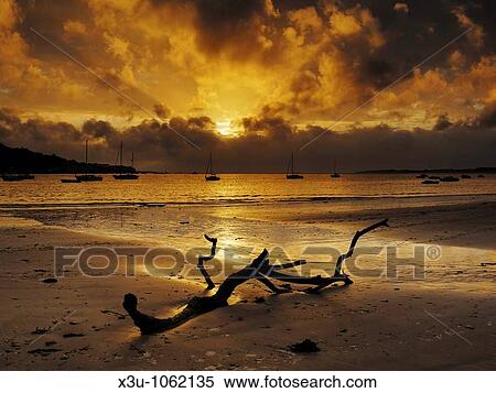 Sunset over Appledore and the Torridge and Taw estuary viewed from the beach at Instow in Devon, United Kingdom View Large Photo Image Stock Photography - Sunset over Appledore and the Torridge and Taw estuary viewed from the beach at Instow in Devon, United Kingdom. Fotosearch