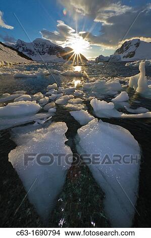Sunset over bergy-bits of ice off the shore of Danco Island, Antarctica View Large Photo Image Picture - Sunset over bergy-bits of ice off the shore of Danco Island, Antarctica. Fotosearch