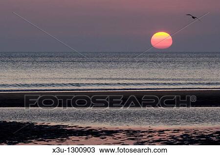 Sunset over Bude Bay from Sandymouth Beach, Cornwall, England, United Kingdom View Large Photo Image Stock Image - Sunset over Bude Bay from Sandymouth Beach, Cornwall, England, United Kingdom. Fotosearch
