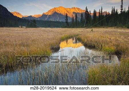 Sunset over Kangaroo Ridge and meadows of Washington pass, North Cascades Washington. View Large Photo Image Picture - Sunset over Kangaroo Ridge and meadows of Washington pass, North Cascades Washington.. Fotosearch