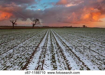 Sunset over Winter Farmland Southrepps View Large Photo Image Stock Image - Sunset over Winter Farmland Southrepps. Fotosearch