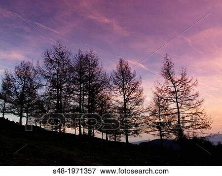 Sunset. Parque Natural de Urkiola. Vizcaya. Basque Country. Spain View Large Photo Image Stock Photo - Sunset. Parque Natural de Urkiola. Vizcaya. Basque Country. Spain. Fotosearch