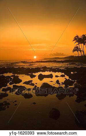 Stock Image - Sunset, Poipu, kauai, Hawaii. Fotosearch