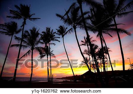 Sunset, Salt Pond Beach Park, Hanapepe, Kauai, Hawaii View Large Photo Image Stock Image - Sunset, Salt Pond Beach Park, Hanapepe, Kauai, Hawaii. Fotosearch