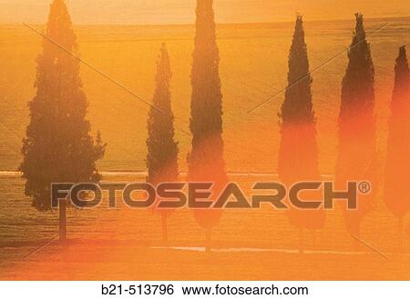 Stock Photograph - Sunset, Santa Cruz de Mudela. Ciudad Real province, Castilla-La Mancha, Spain. Fotosearch