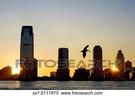 Sunset views of the Hudson River from Battery Park. A seagull just fish and the sun shines while hiding in one of the skyscrapers of Jersey. View Large Photo Image Stock Image - Sunset views of the Hudson River from Battery Park. A seagull just fish and the sun shines while hiding in one of the skyscrapers of Jersey.. Fotosearch