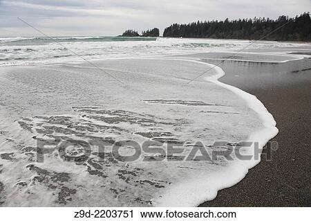 Surf breaking at Florencia Beach, Pacific Rim National Park Reserve, Tofino, Vancouver Island, BC. View Large Photo Image Stock Image - Surf breaking at Florencia Beach, Pacific Rim National Park Reserve, Tofino, Vancouver Island, BC.. Fotosearch